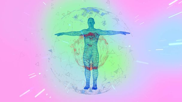 Menselijk hologram draadframe model in een plexus bol over roze en groene achtergrond met lineaire deeltjes. - Foto, afbeelding