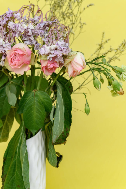 Topf mit verblichenen Blumen auf gelbem Hintergrund - Foto, Bild
