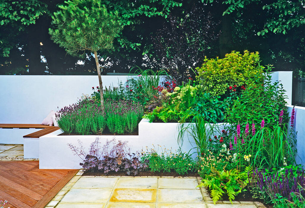 Un moderno jardín con bordes florales elevados y cerrados y colorido despliegue de plantación mixta
 - Foto, imagen