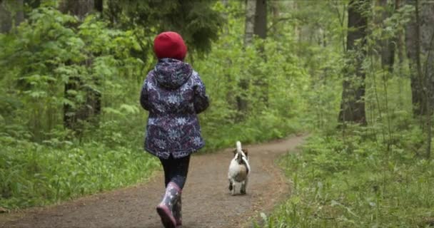 Vista trasera de la niña en sombrero rojo caminando por el sendero del bosque
 - Imágenes, Vídeo