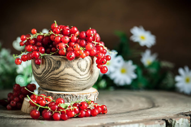 Fresh red currants in plate on dark rustic wooden table. Background with copy space. Selective focus. - Φωτογραφία, εικόνα