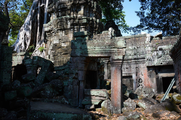 Ancien temple cambodgien avec ruines et arbres, Temple Ta Phrom - Photo, image