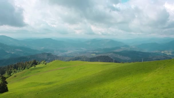 Aerial Drone View hegyek borított zöld fű és zöld fák. Kilátás a hegycsúcsok borított sűrű erdők. Mesés kilátás nyílik a Kárpátok Ukrajna. - Felvétel, videó