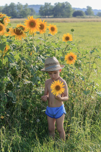 Pienen pojan muotokuva olkihatussa auringonkukka ulkona pellolla - Valokuva, kuva