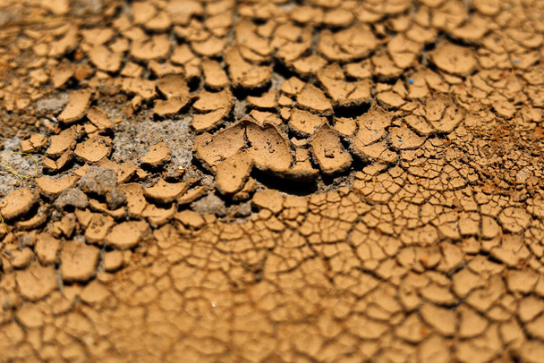 terra de argila rachada nas estações secas
 - Foto, Imagem