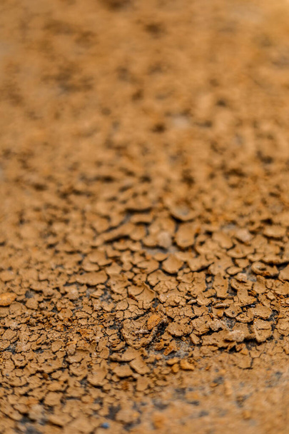 Textur der rissigen natürlichen Erde durch Dürre. - Foto, Bild