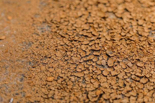 ραγισμένο έδαφος πηλό στην ξηρή εποχή - Φωτογραφία, εικόνα