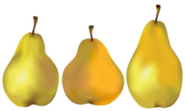Набор из трех натуральных зеленых, оранжевых, желтых груш, изолированных на белый
 - Вектор,изображение