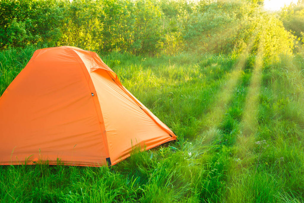 Pomarańczowy namiot kempingowy o zachodzie słońca w lesie i zielonym polu trawiastym oraz promieniach słońca - Zdjęcie, obraz