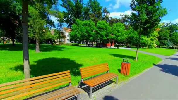 Open City Park w lecie, Drzewa i Rośliny, Europa, CZ, Prostejov - Materiał filmowy, wideo