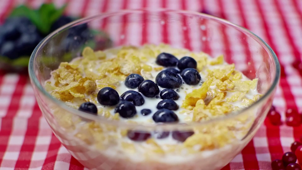 selective focus of blueberries falling in bowl with cornflakes and milk - Footage, Video