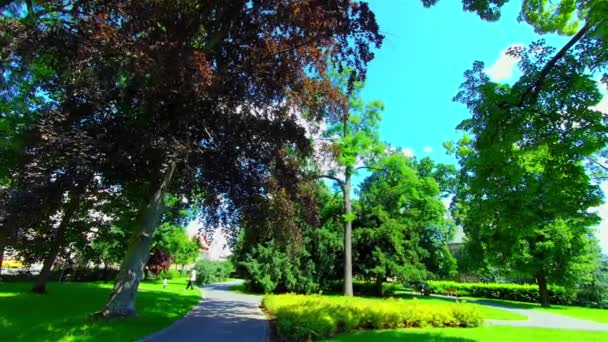 Parco della città aperta in estate, alberi e piante, Europa, CZ, Prostejov - Filmati, video