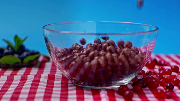 selektiver Fokus von schmackhaften Cornflakes, die in Glasschale fallen, isoliert auf blau - Filmmaterial, Video