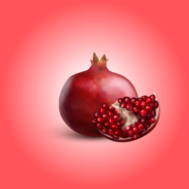Realistinen Fruit granaattiomena ja leikkaus on eristetty taustalla.Vector kuva. - Vektori, kuva