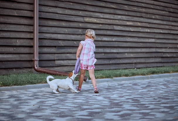 Beautiful little girl blonde plays with a dog in nature - Foto, Imagen