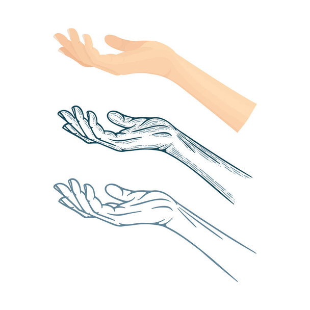Wyciągnięte strony ilustracje wektorowe dłoni ustawione w różnych stylach rysunku. Część zestawu. - Wektor, obraz