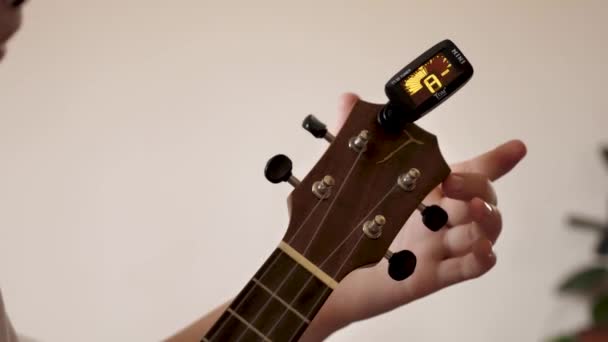 Setting up a four-string Ukulele musical instrument at home. Footage shot close-up without a face with natural daylight in 4K - Footage, Video