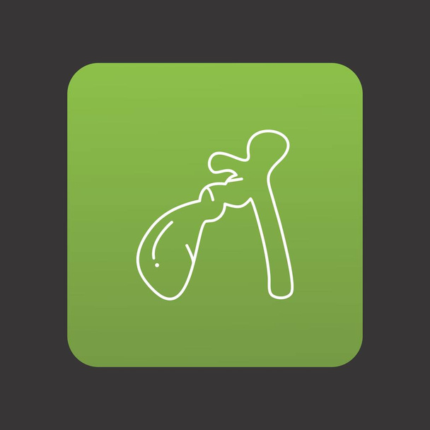 Gallbladder icon for your project - Vector, Image