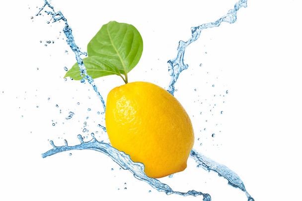 Свежий лимон и брызги воды на белом фоне
. - Фото, изображение