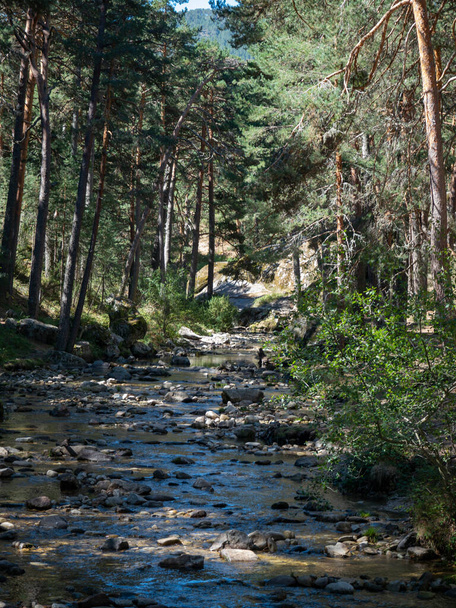 Fluss in einer natürlichen Umgebung in Segovia, mit viel Vegetation. - Foto, Bild