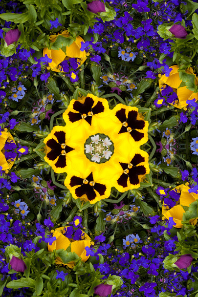 Caleidoscopio de flores parecido a un mandala
 - Foto, imagen