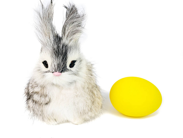 Egy aranyos kis hosszú haj nyuszi nyúl és egy világos színű húsvéti tojás, elszigetelt fehér háttér.  - Fotó, kép