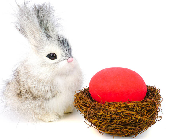 Симпатичный кролик с длинными волосами и ярко окрашенным яйцом-съедобкой, изолированный на белом фоне
.  - Фото, изображение