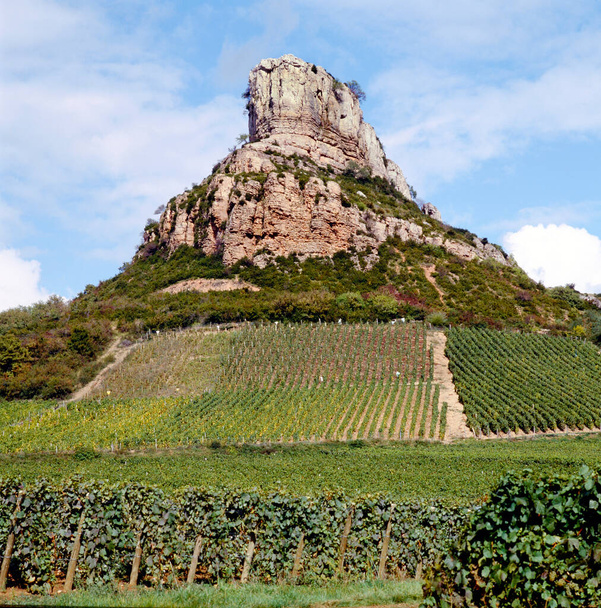 Roccia di Solutre con i vigneti pouilly-fuisse, Borgogna, Francia, Europa - Foto, immagini