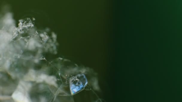 Conjunto de fundo de vídeo macro abstrato de bolhas de sabão, cacos de vidro brilhante brilhante, gelo cintilante com brilho solar
 - Filmagem, Vídeo
