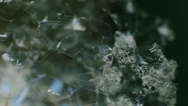 Streszczenie makro wideo tło zestaw baniek mydlanych, odłamki błyszczącego szkła, lśniący lód z blaskiem słońca - Materiał filmowy, wideo