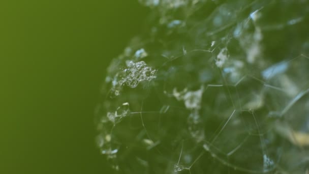 Abstract macro video achtergrond set zeepbellen, scherven van glanzend glanzend glas, glinsterend ijs met zonneschijn - Video