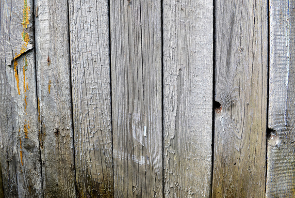 Old wood plank background, vintage wooden texture - Photo, image