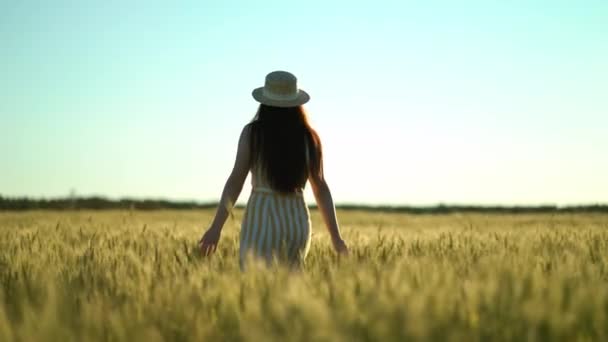 kobieta spacerująca na polu z otwartymi ramionami - Materiał filmowy, wideo