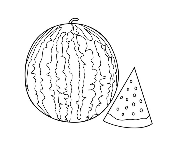 Outline vector drawing of a watermelon and slices of watermelon next. Coloring with watermelon. - ベクター画像