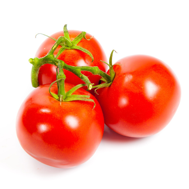 Closeup of tomatoes on the vine isolated on white. Tomato branch - Fotografie, Obrázek