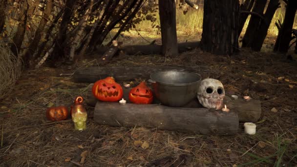 Ritual lugar esotérico en el bosque con velas un cráneo y un caldero
 - Imágenes, Vídeo