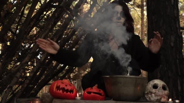 Czarownica warzy eliksir w kotle, z którego wydostaje się dym w zwolnionym tempie - Materiał filmowy, wideo