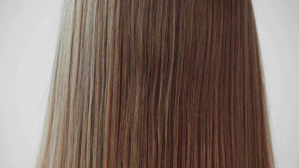 Nainen tilalla kampa harjaamalla naaras hiukset eristetty harmaa - Materiaali, video