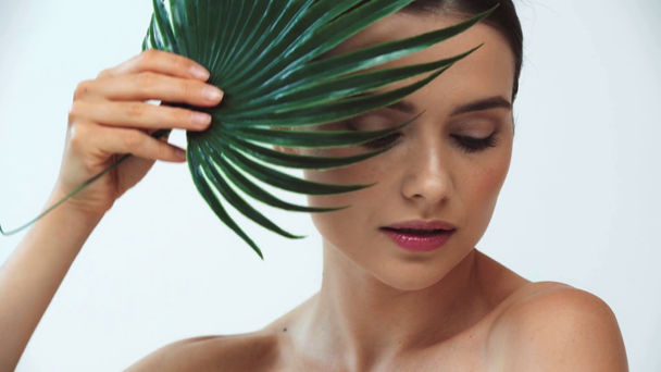 Mulher nua bonita segurando folha de planta tropical no fundo cinza
 - Filmagem, Vídeo