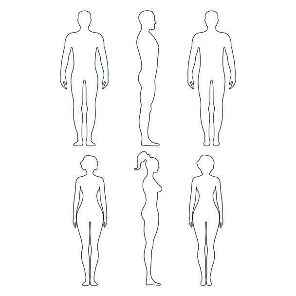 Чоловіча і жіноча анатомія людського характеру, люди манекенні спереду і вид збоку силует тіла, ізольовані на білій, плоскій векторній ілюстрації. Чорні та контурні люди манекенів масштабують концепцію
. - Вектор, зображення
