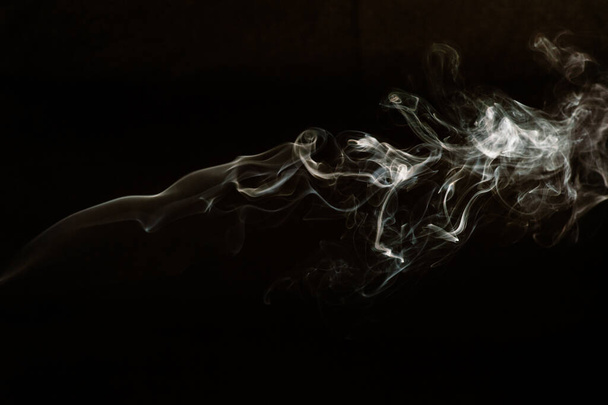 Rook geïsoleerd op donkere achtergrond - Foto, afbeelding