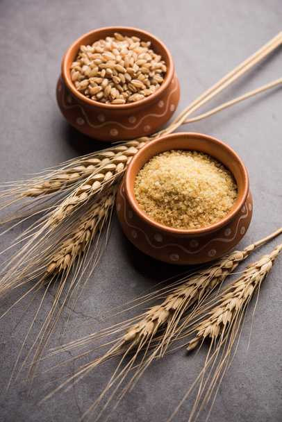 Gehu Dalia or Daliya also known as Cracked or Broken Wheat, served in a bowl or spoon, healthy Indian food - Fotografie, Obrázek