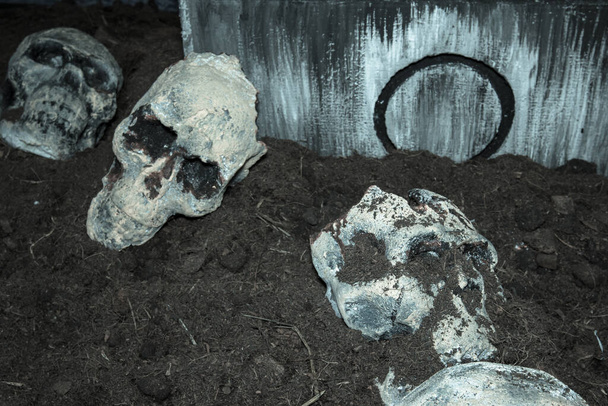 череп на кладбище, эффект фильтра. - Фото, изображение