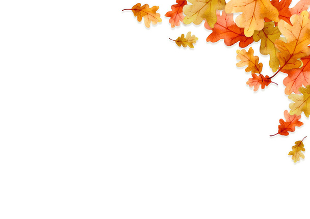 runko lehdet syksyllä käsite eristetty valkoisella pohjalla. Tasainen lay, ylhäältä näkymä, kopioi tilaa. - Valokuva, kuva