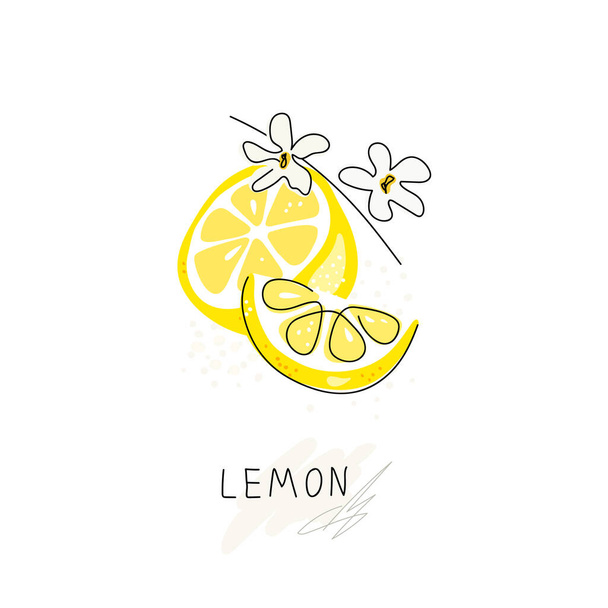 Whole lemon cut in half, slice, clipping path isolated on a white background. Set. Fresh fruits with flowers and green leaves. Citrus. Minimal style. Doodle Black line. Vector illustration - Vector, Image