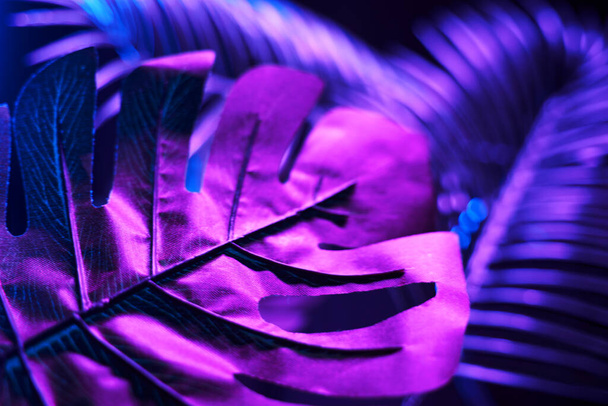 Diseño de hojas púrpura trópico creativo
. - Foto, Imagen