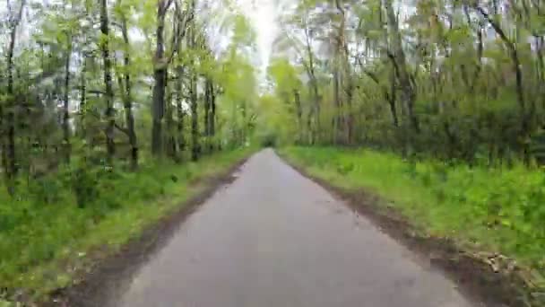 Hyperlapse. The camera moves along a forest road. Around the green trees. - Footage, Video