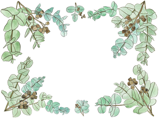 Frame set of watercolor eucaliptus leaves branch. Floristic design elements for floristics. Hand drawn illustration. - Photo, Image