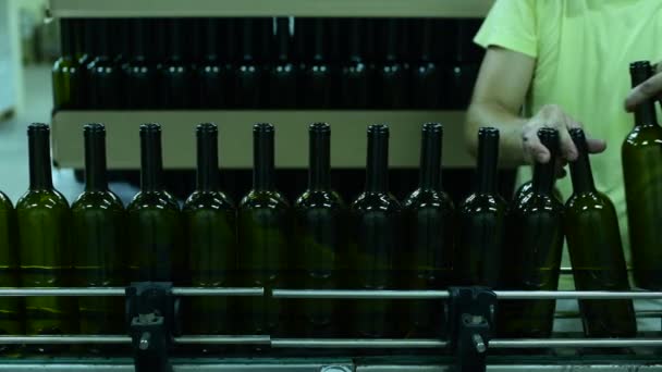 trasportatore con bottiglie di vino in fabbrica. produzione di vino bianco, pallet della bottiglia - Filmati, video