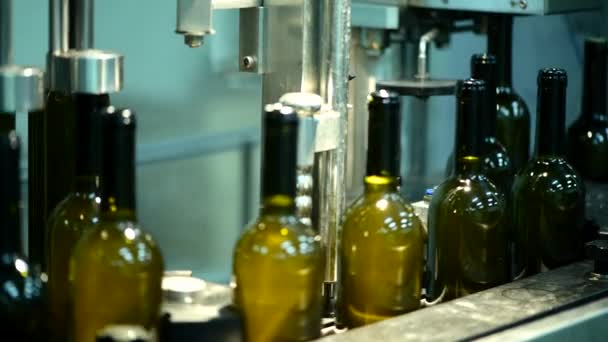 borosüveges szállítószalag a borgyárban, fehérbor palackozás - Felvétel, videó